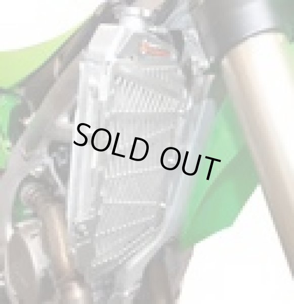 画像2: EE ラジエターガード【KAWASAKI用】 (2)