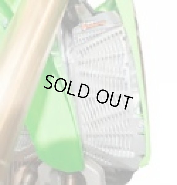 画像3: EE ラジエターガード【KAWASAKI用】 (3)