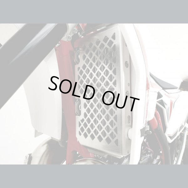 画像2: P-TECH ラジエターガード Beta RR 2st&4st(2020-2022) (2)