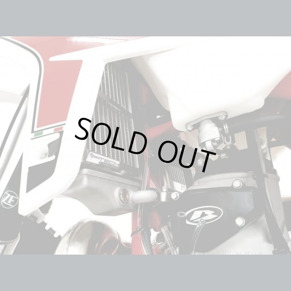 画像3: P-TECH ラジエターガード Beta RR 2st&4st(2020-2022) (3)