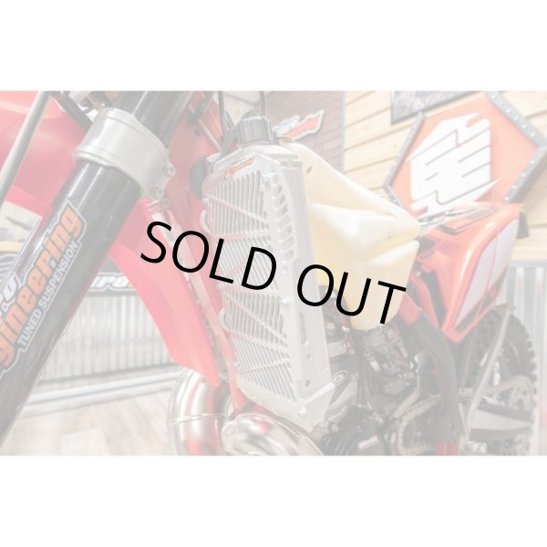 画像3: EE ラジエターガード【BETA用】 (3)