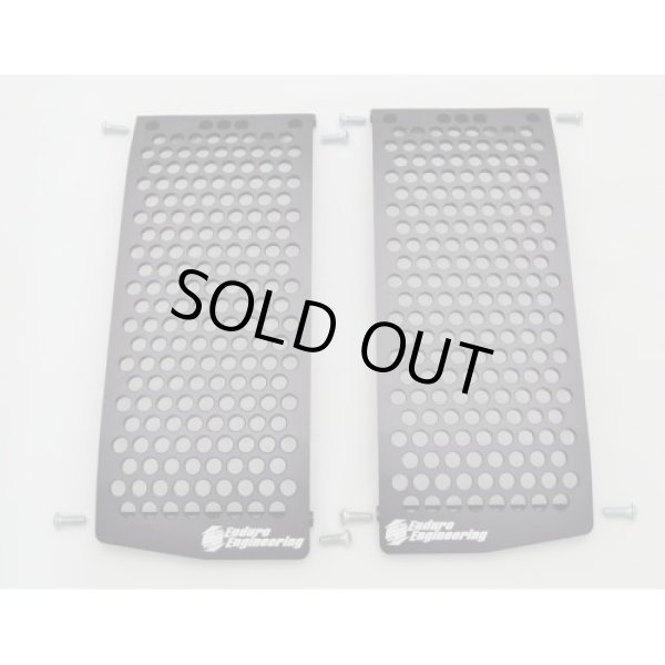 画像2: EE ラジエターガード【YAMAHA用】 (2)