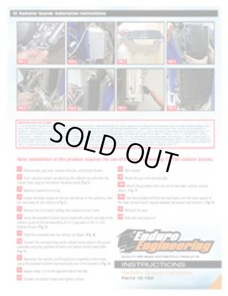 画像4: EE ラジエターガード【YAMAHA用】 (4)