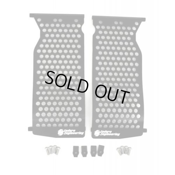 画像2: EE ラジエターガード【YAMAHA用】 (2)