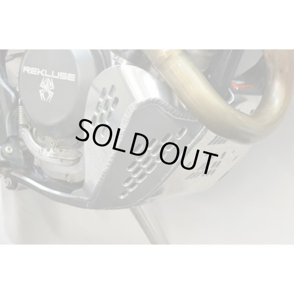 画像2: EE エクストリームスキッドプレート【KTM/Husqvarna/GASGAS用】 (2)