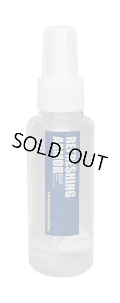 画像1: 【防具専用持続性除菌消臭剤】リフレッシングアーマーBLUE (1)